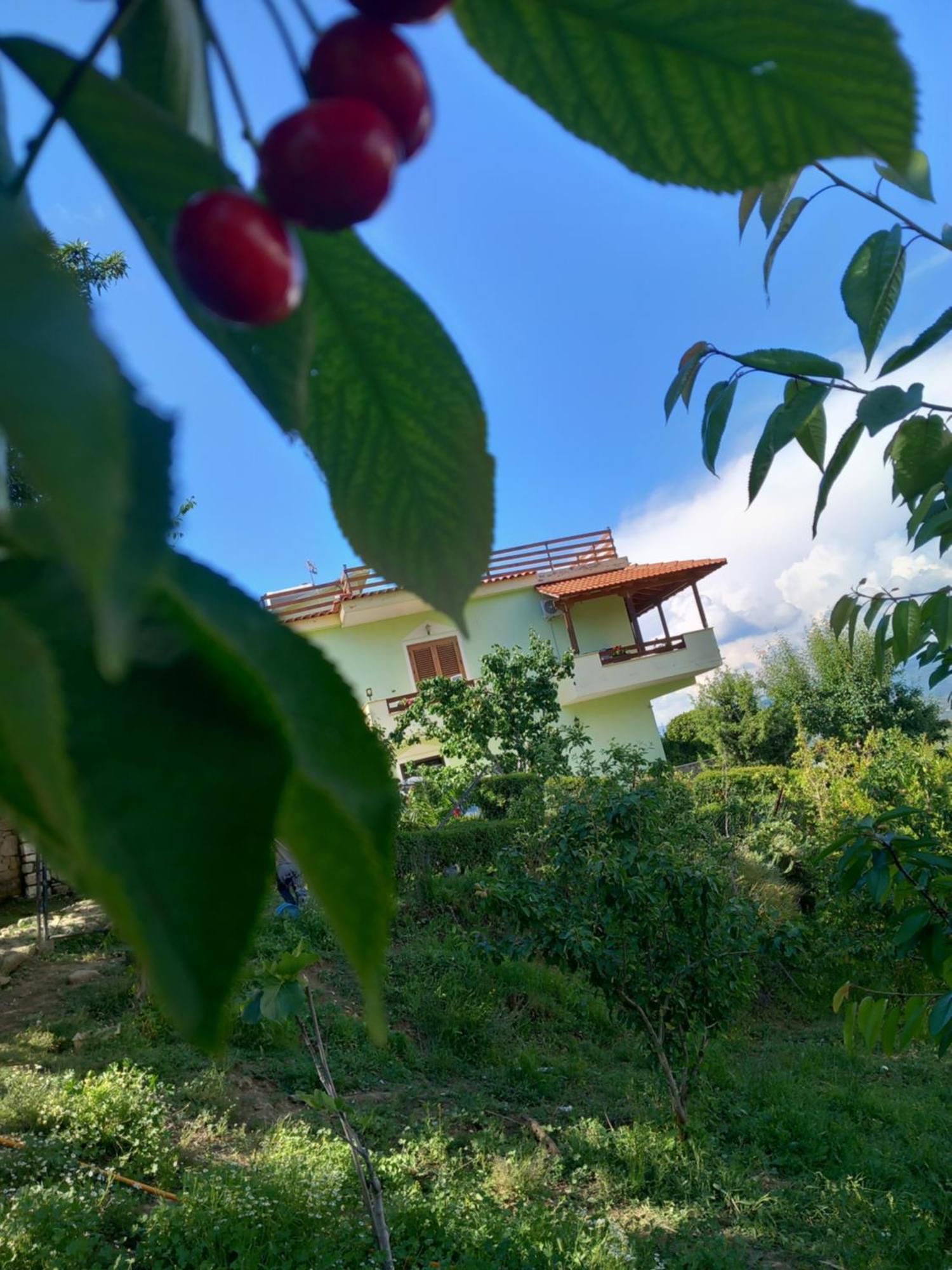 Vila Dean Berat Exterior photo